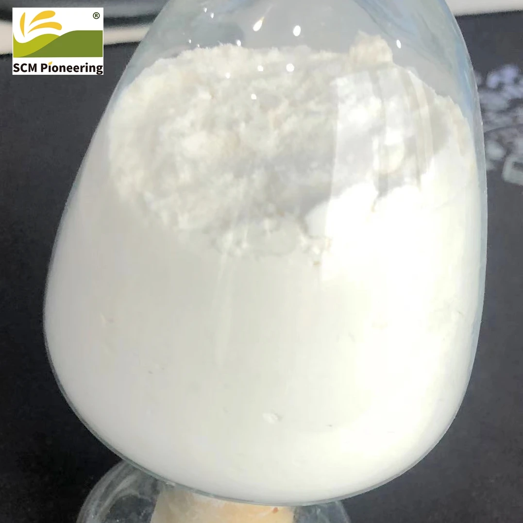 High Purity Preservatives E-Polylysine Epsilon Polylysine for Biscuits, Cookie, Bread, Cakes, Pastries