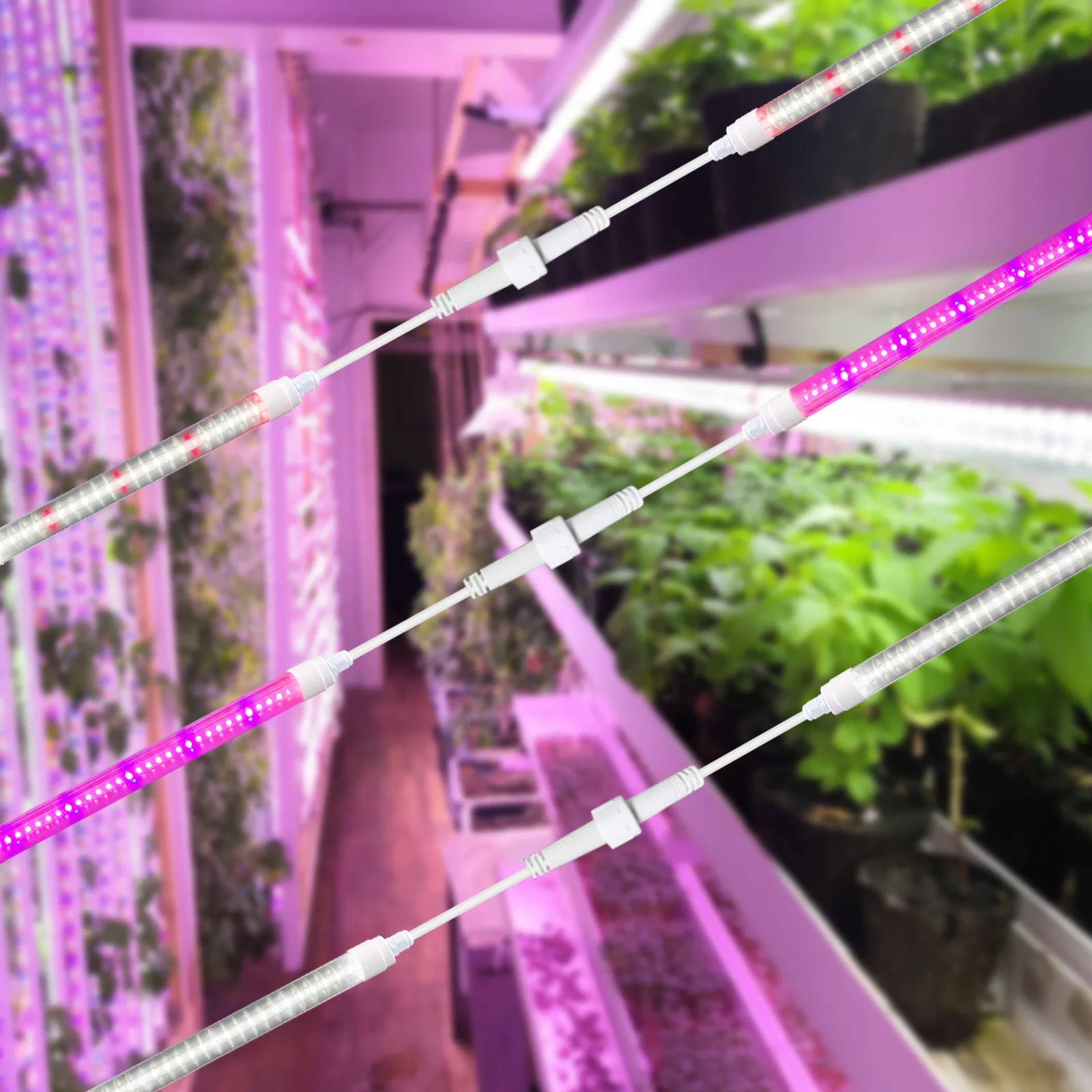 Liweida 10W 15W 18W 24W Family Farm IP65 Indoor Microgreen T8 Grow Lights Daisy Chain Connector 4ft Tube Indoor Plants