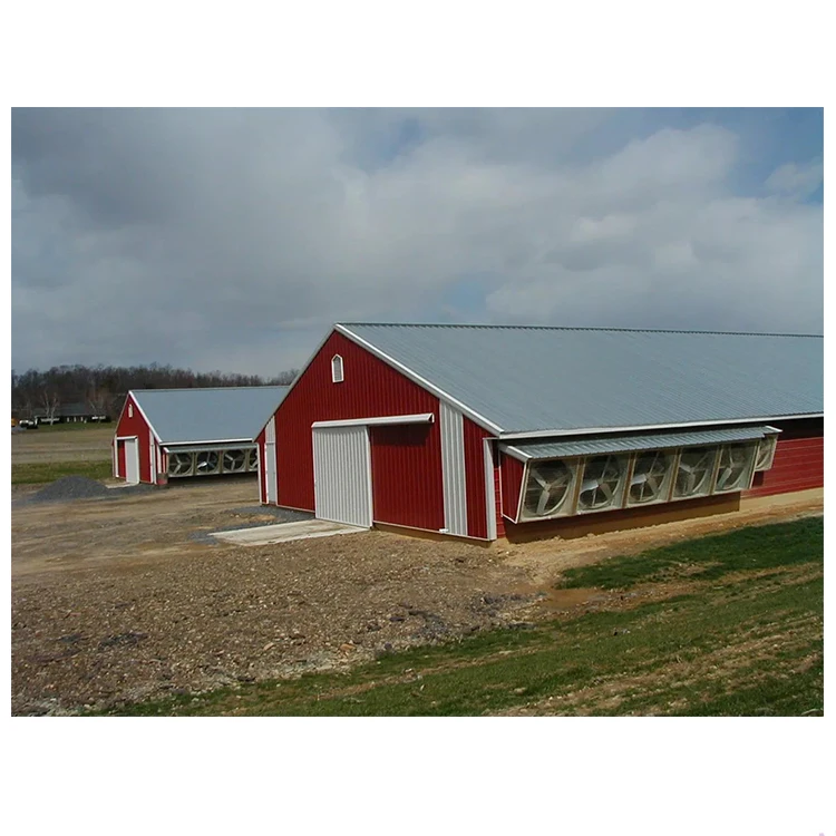 Free design prefab chicken farm building prefabricated steel structure chicken house