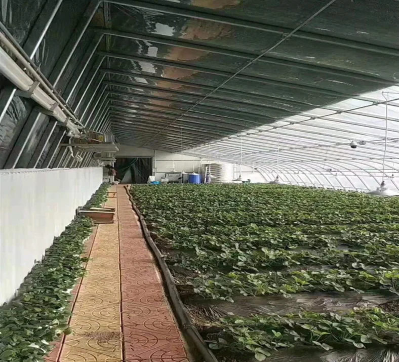 Manufacturer customized oval tube winter warm greenhouse seedling greenhouse flower greenhouse