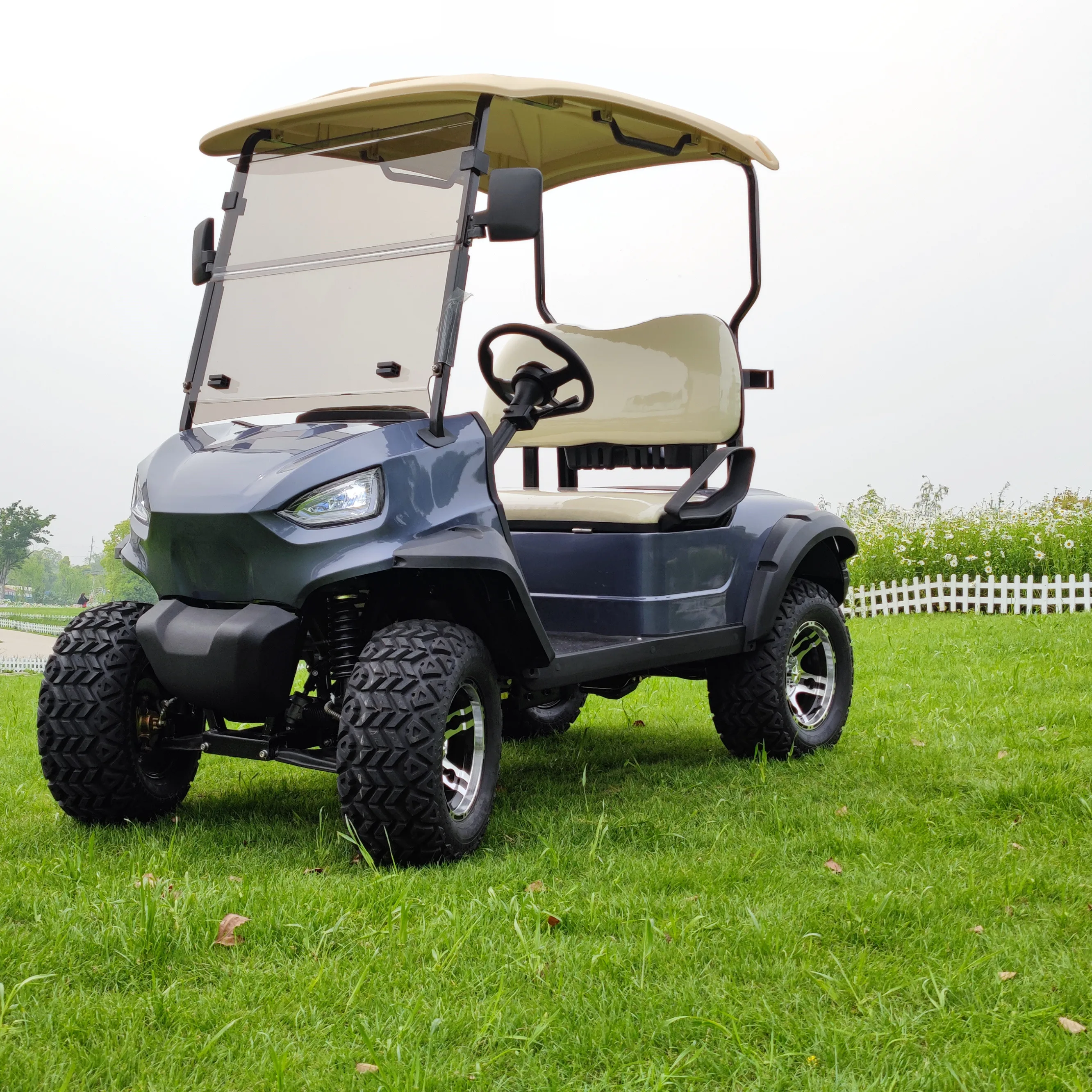Golf car  New Golf Electric Cart  48V/72V Lithium  2 Seats  mini car golf car  F4GH20A