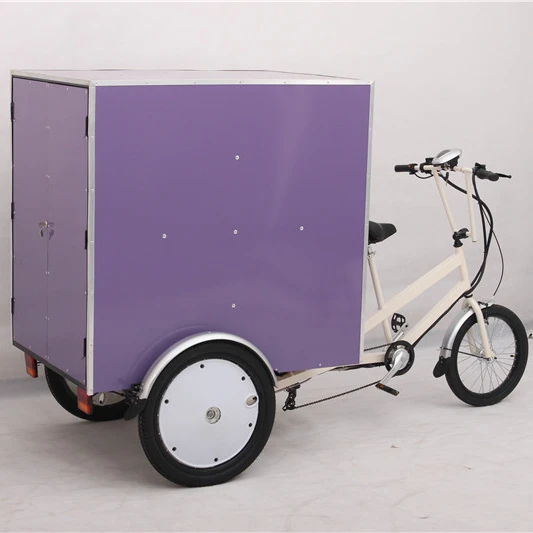 500W 1000W cargo electric tricycle long range trikes large packing box electric tricycles over 280KG loading electric tricycles