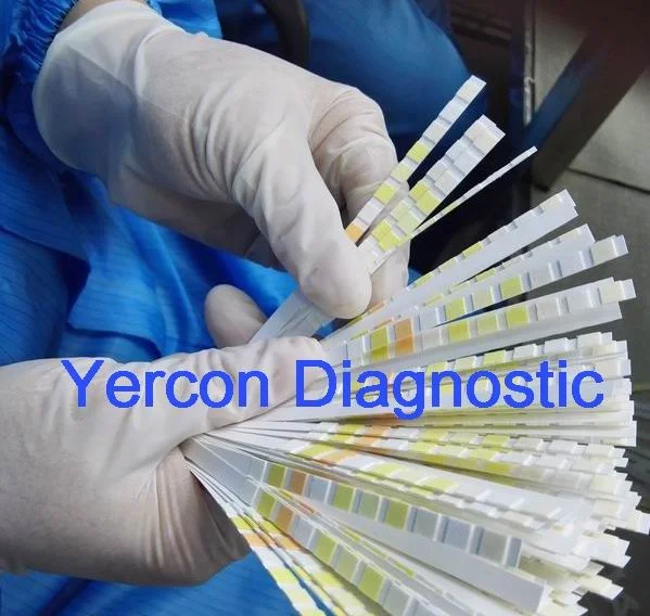 urine test strips URS-10A 100pieces/bottle