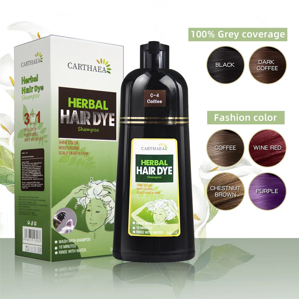 China OEM Custom Brand 5 Min Fast Magic Organic Herbal Hair Dye Shampoo Ammonia Free