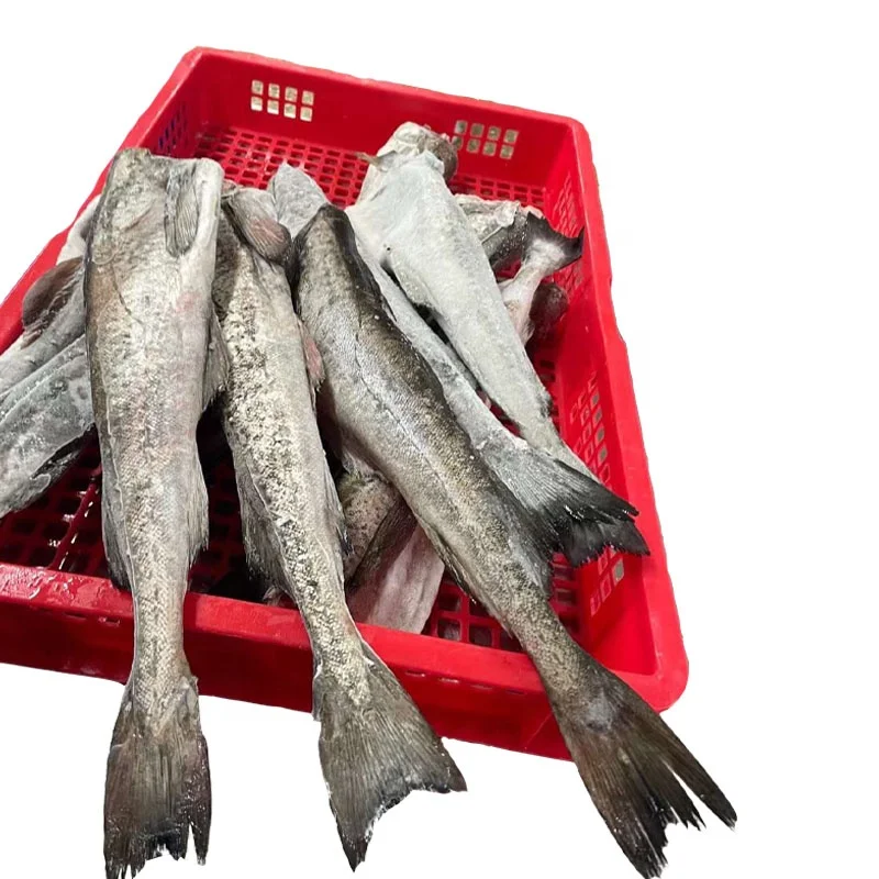 
Alaska pollack pollack fish frozen IQF wholesale good prices New Arrival 