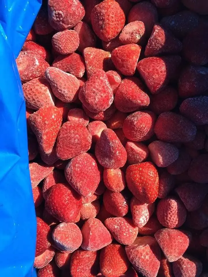 Delicious Cheap Price Frozen Egyptian IQF Frozen Fruits Whole Strawberry
