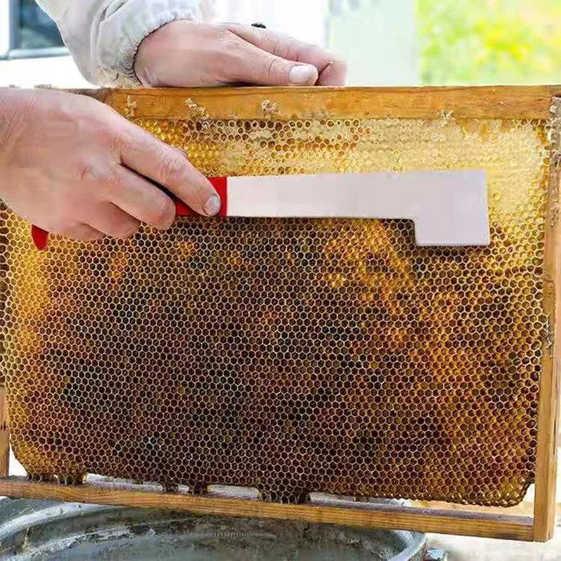Wholesale Apicultural Durable Beekeeping honey bee Hive Tool