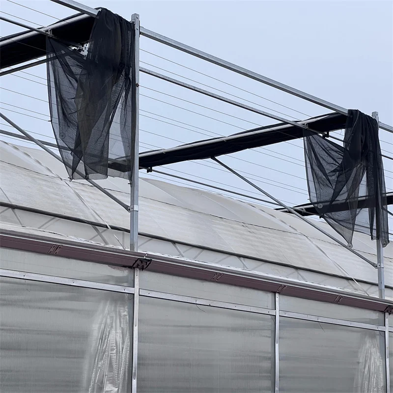 Wire Mesh Rolling Benches Galvanized Steel Structure Multi-span Greenhouse Agricultural Greenhouse Polycarbonate Kit For Plants