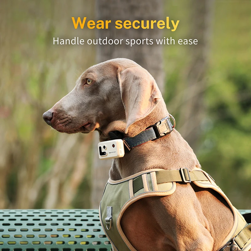 Low MOQ Pet smart Camera Tracker Advanced Multi-Functional pet  4G GPS tracker Collar Camera for Dogs pet cats live videos