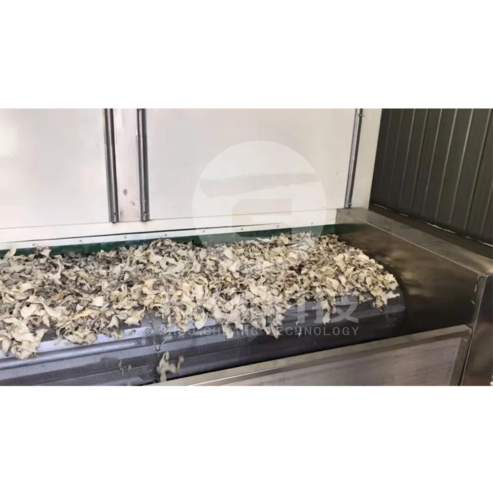 Konкак чип сушилка машина для фруктов овощей Сушилка Konjac энергосберегающая Konjac сушилка