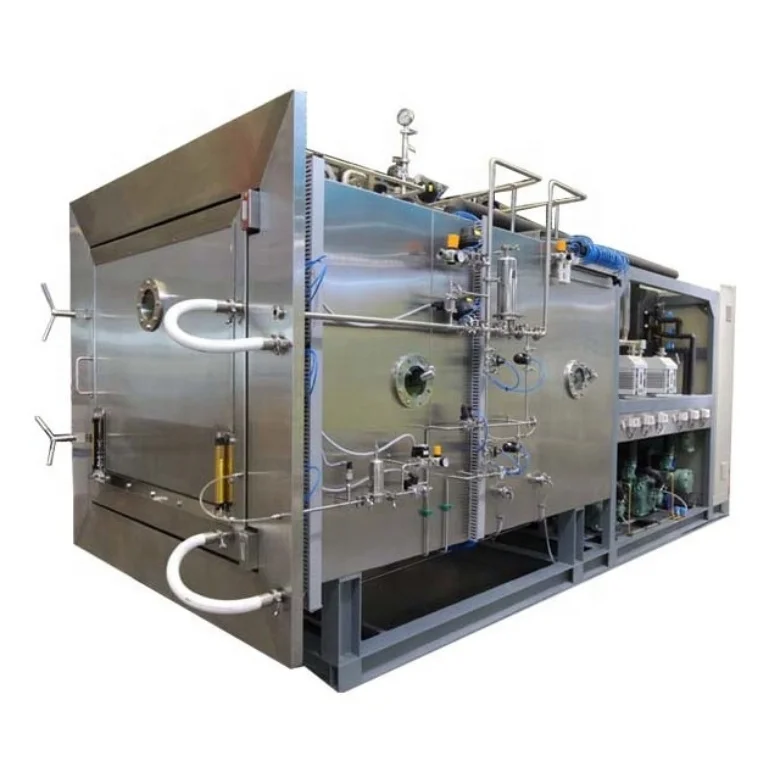 2021 hot sale freeze drying machine sublimation condensation dryer vacuum lyophilizer price freeze drying