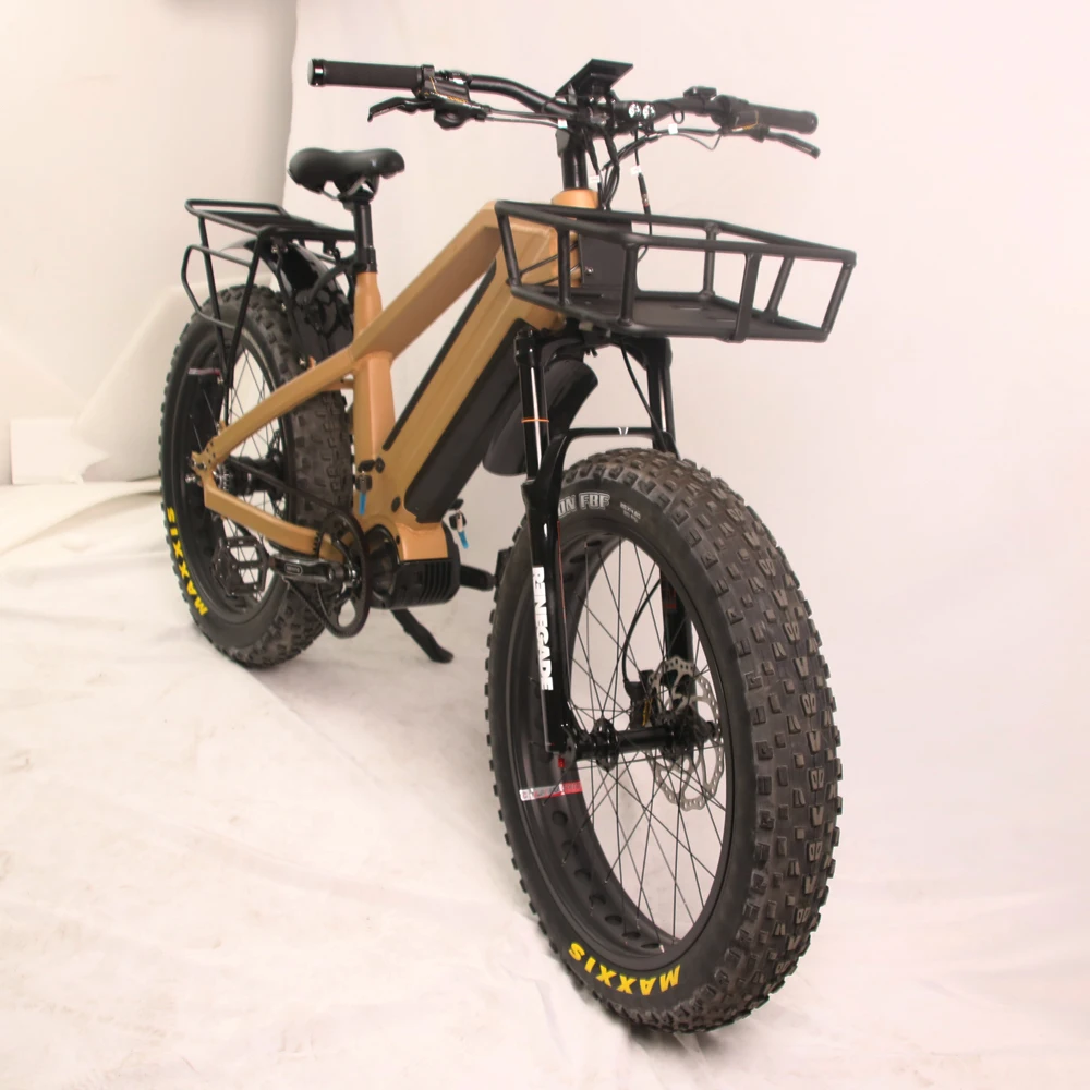 2020 Belt Drive Ebike New Model Fat Tire Electric Bike Dual Battery E-bike