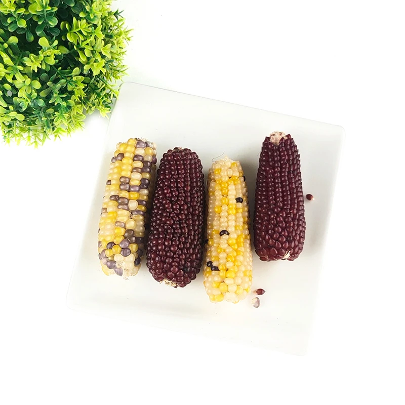 Organic Treats 3 sets in bags Hamster molar stick corn rabbit  guinea pig Sugar glider molar snack rat feed molar stick treat