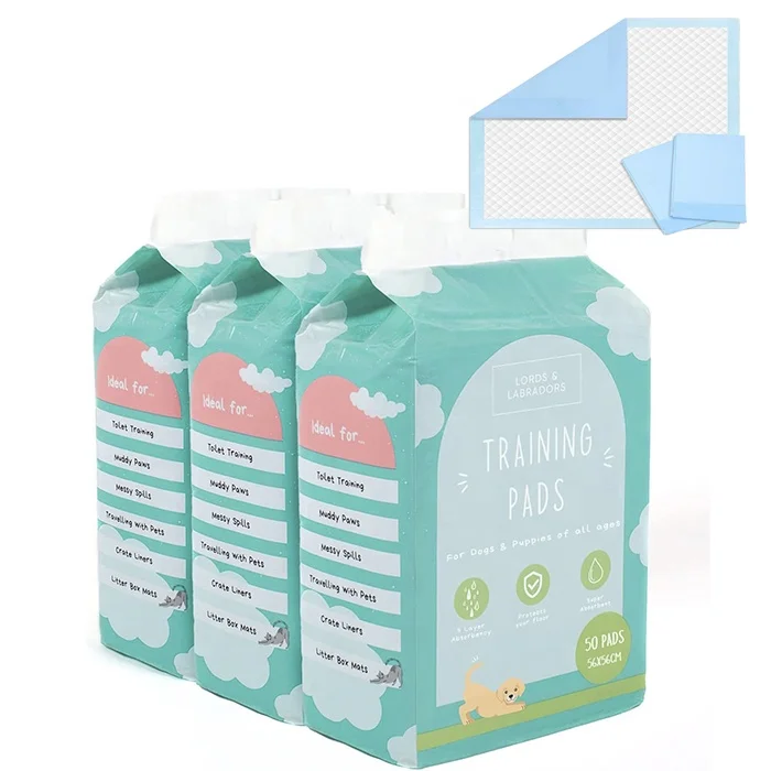 Free sample custom dog housebreaking mat disposable car pet pee pads