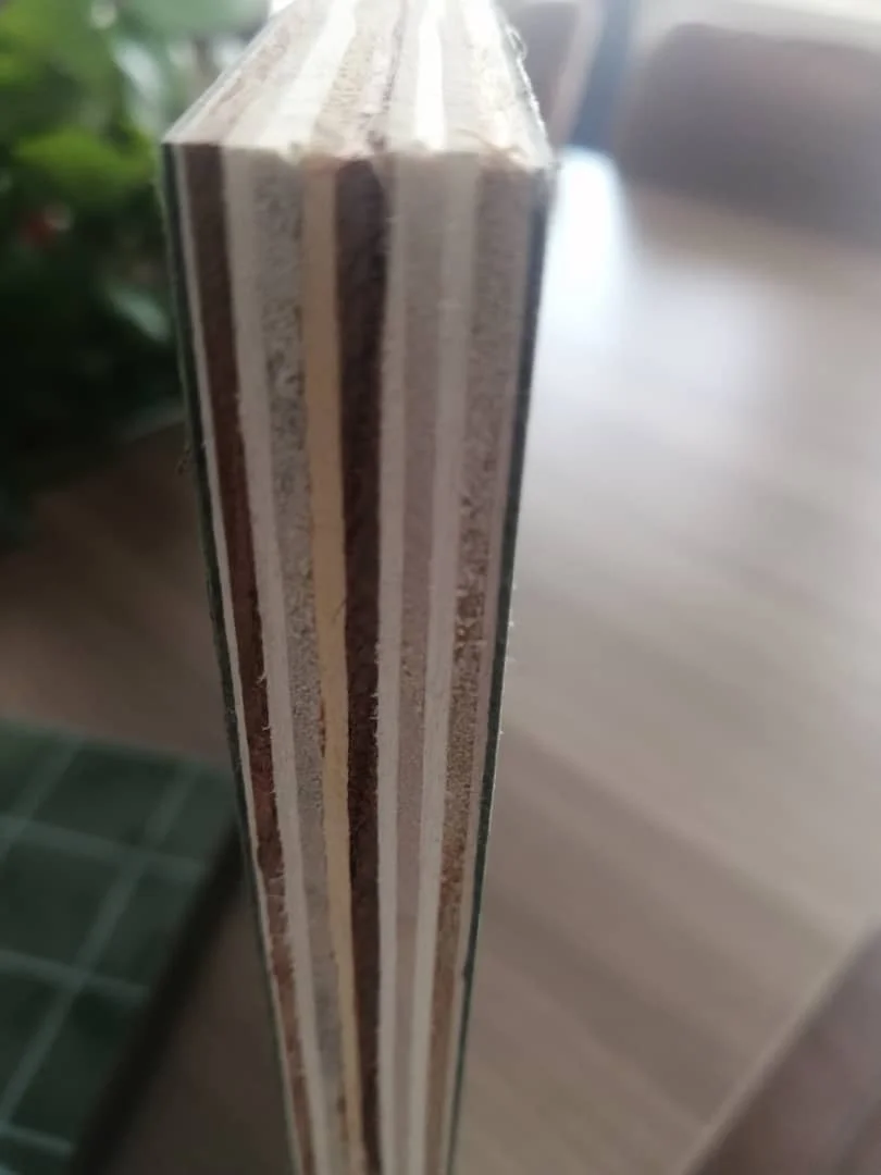 Best Price Shuttering Plywood Laminated PP Film Faced Plywood Sheets Waterproof  Laminated Plastic Plywood For Concrete