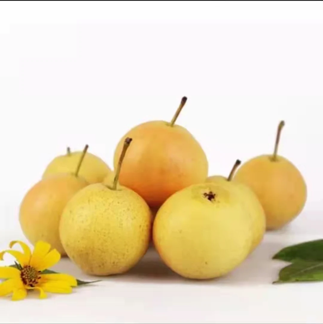 The famous delicious natural fresh pear wholesale price
