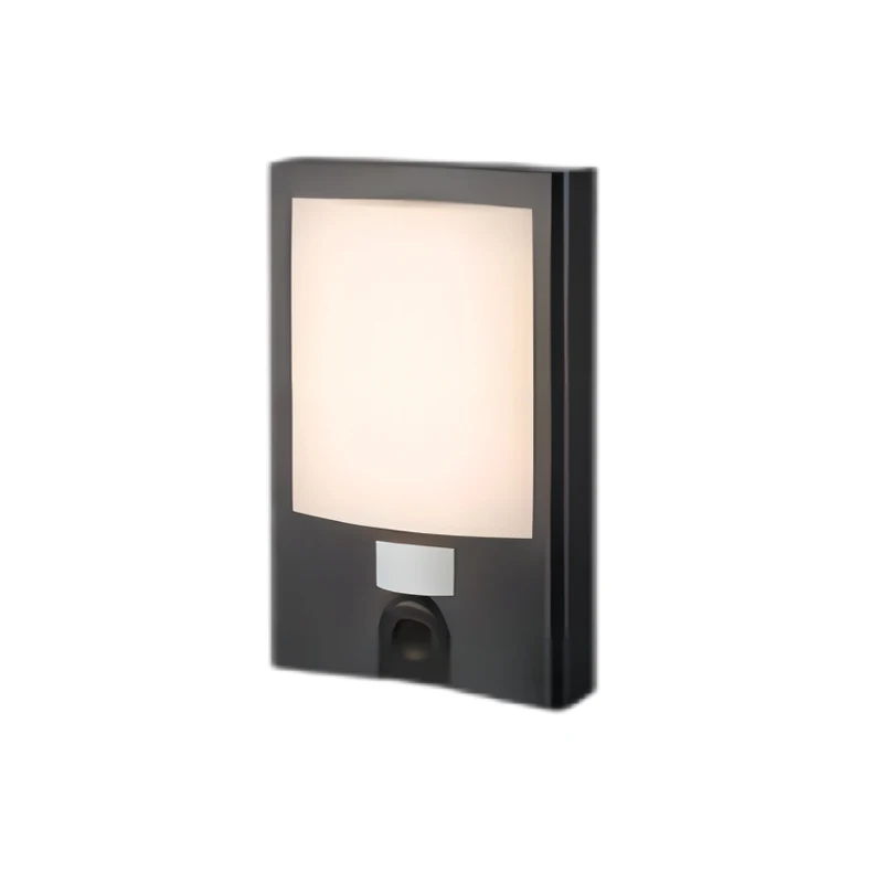 Simple Wall-Mounted Panoramic Camera Outdoor Aluminum Waterproof Decorative Security Light with Camera Recording Sound app wifi