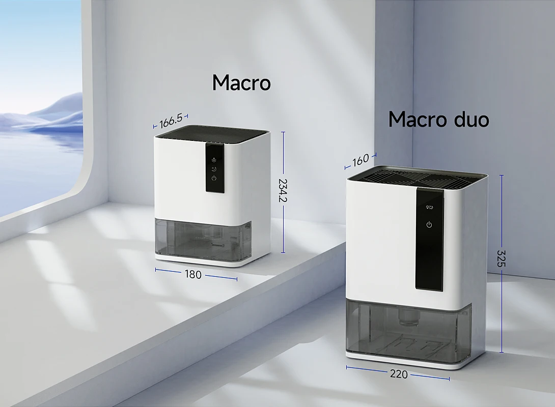 20240806-Macro-duo-_03