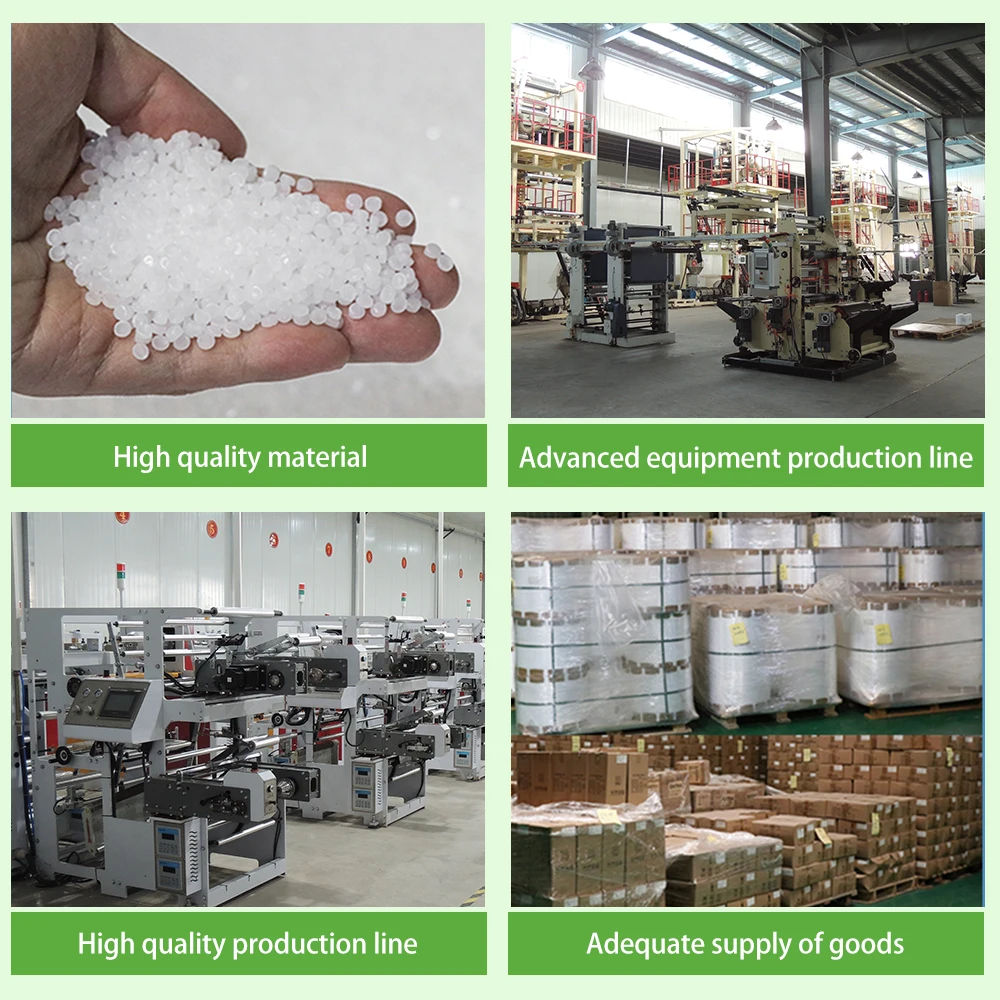 Compostable Inflatable PLA Protective Packaging Plastic Air Pillow Cushions