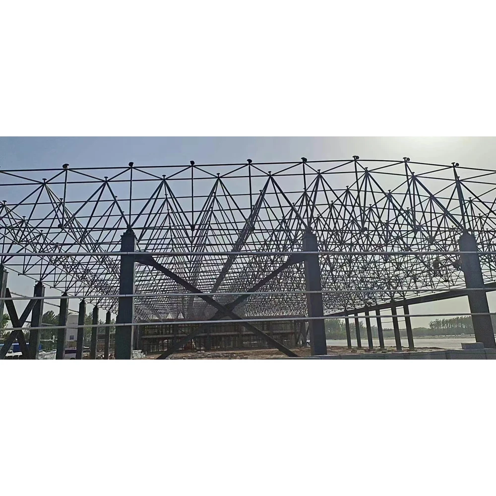 New Design and Structural Optimization of Long-Span Steel Space Frame Systems for Modern Aircraft Hangars