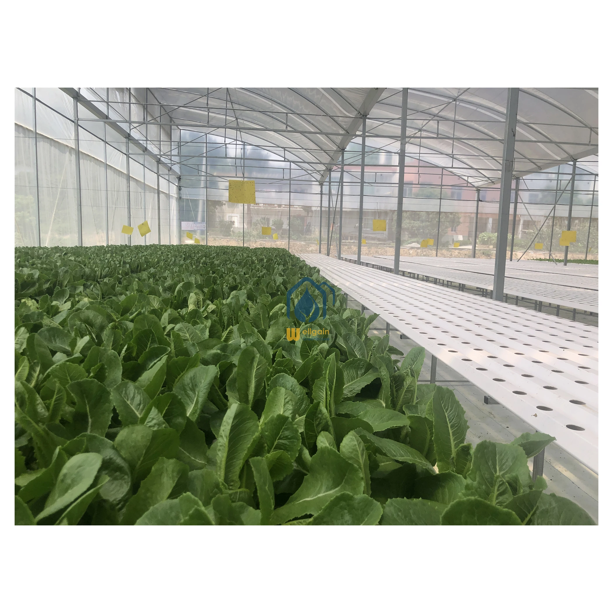 wholesale 100*50 hydroponic rectangular pvc tube / pipe