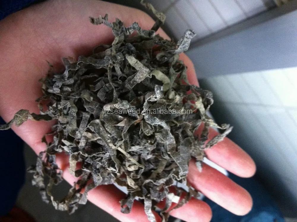 Hot Selling Healthy Organic Sea Vegetable Edible Algae Natural Dried Seaweed Kelp For Food