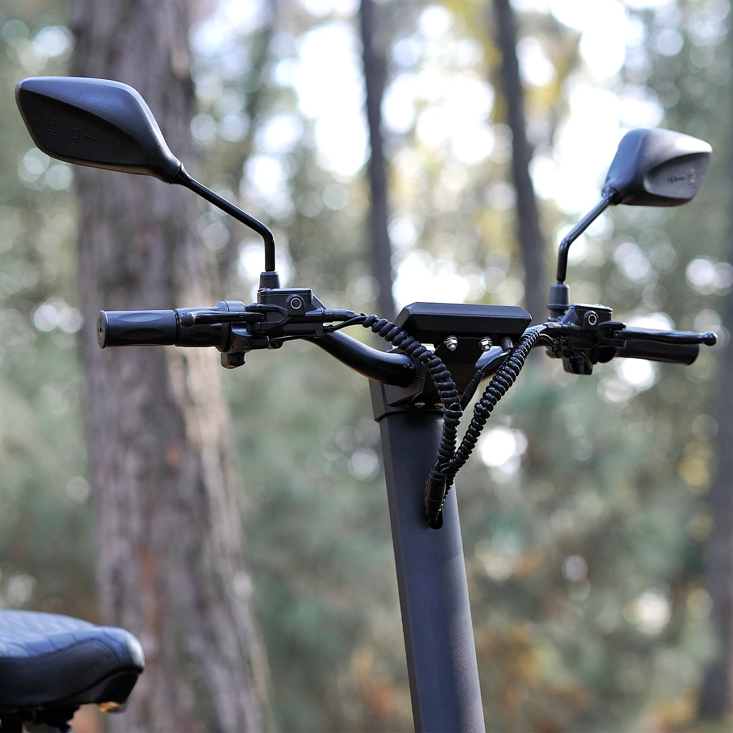 Manufacturers Oem Scuter Trottinette Patinete Electrique Foldable Electric Scooters 3000w 2000w E Citycoco Motorcycles For Adult