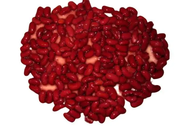 Chinese canned dark red kidney beans in brine with high quality