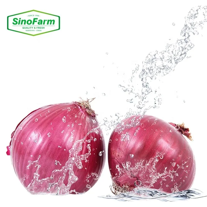 chinese yellow onions ferma onion vegetable the quality onion seeds for sale