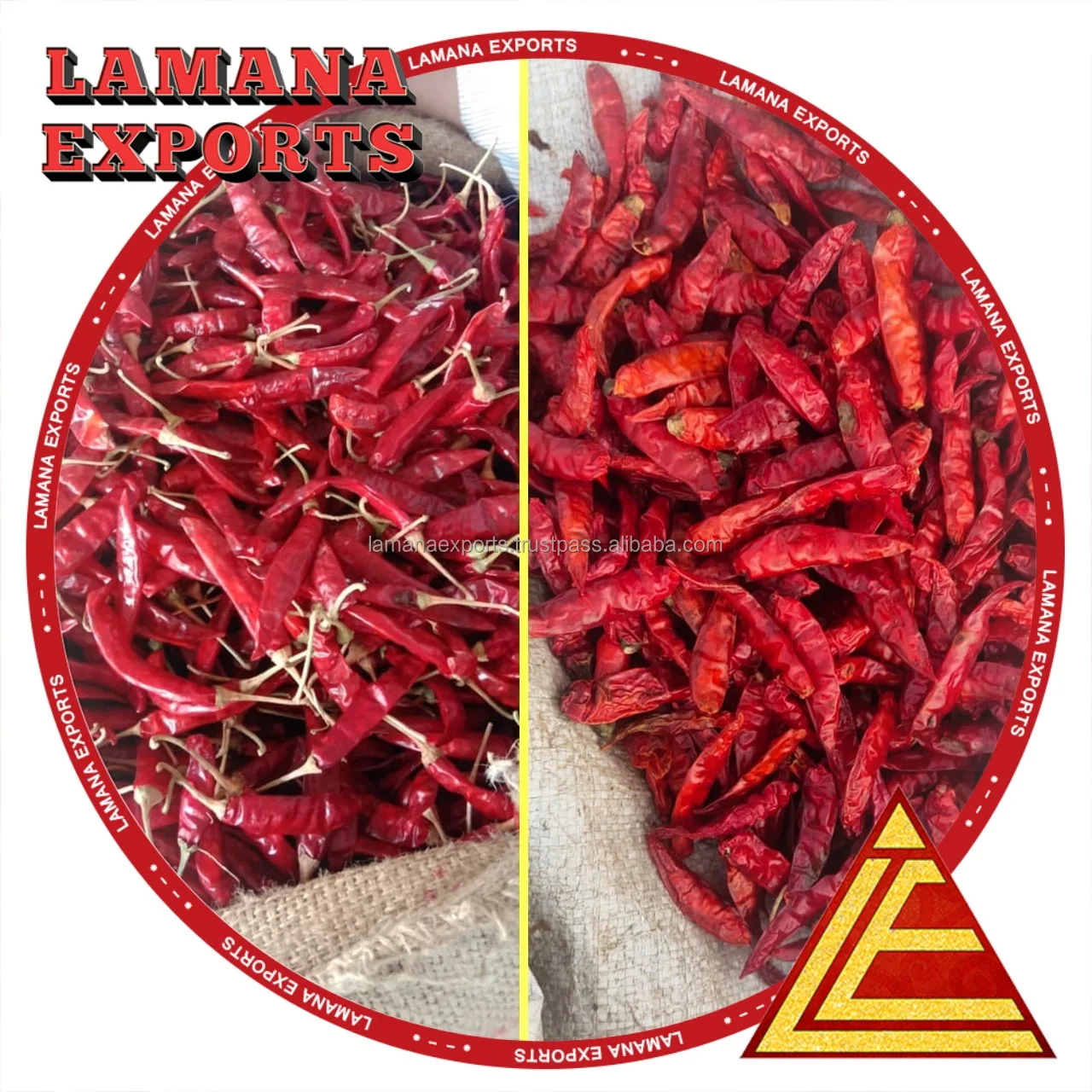 Guntur Super Dry Red Chilli S4 Sannam S334 Stemless India Chilli Premium Quality for China, Thailand