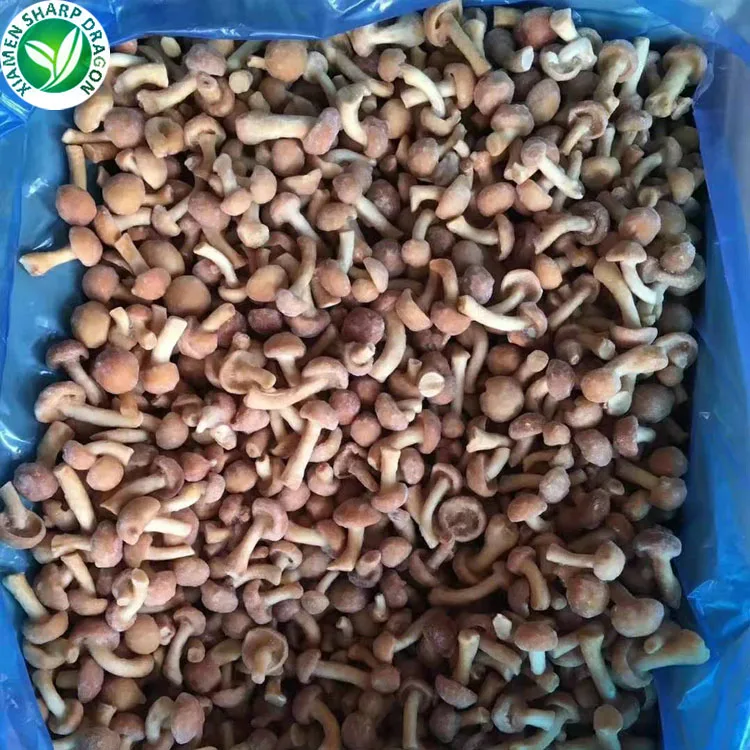 Замороженные грибы nameko экспорт для покупателей
