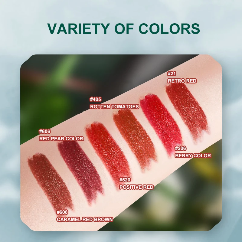 High Quality 6 Colors Lipstick Silky Sexy Red Lipstick Private Label Cosmetic Stylish Matte Moisturizing Lipstick