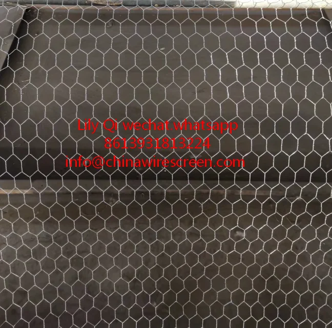 hexagonal chicken wire mesh/Galvanized Stucco Wire Netting 20 gauge