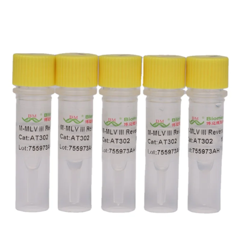 Wholesale OEM  M-MLV III Reverse Transcriptase Biochemical reagent for scientific research