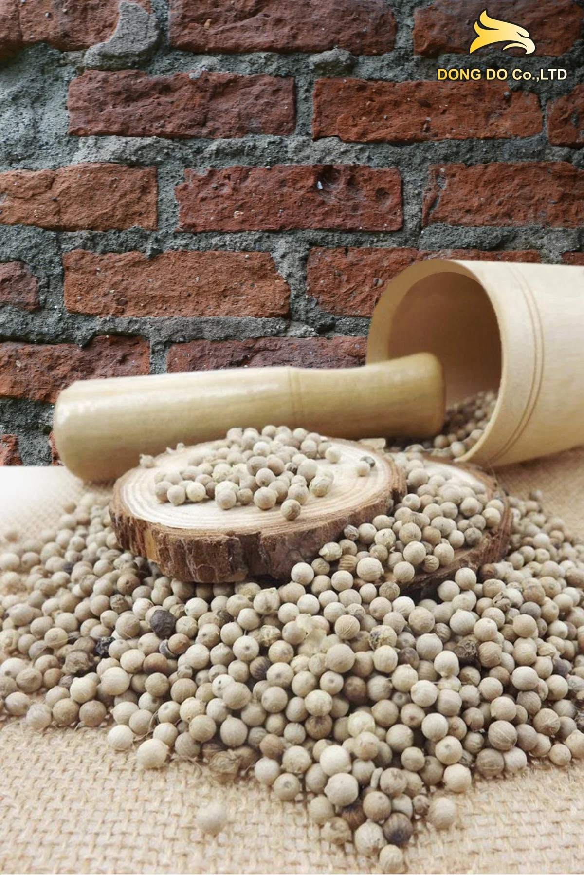 where to buy white pepper Best quality / price of white pepper vietnam / dongdo