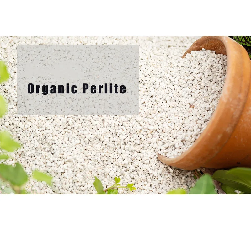 Расширенный Перлит для всех натуральных растений, садовая добавка для почвы, кондиционер для улучшения дренажа и вентиляции