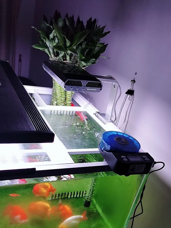 HOT SELLING automatic feeder battery rechargeable feeding multi-function feeder auto fish feeder