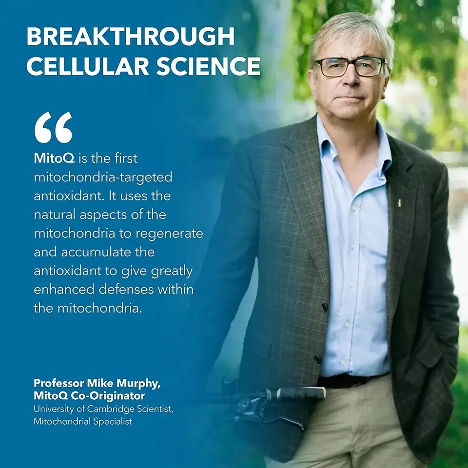 OEM MitoQ Blood Sugar MitoQ Antioxidant Supplement Capsules Supports Premium Blood Glucose Metabolic and Cellular Health