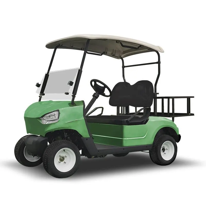 Electric Golf Cart A6 2 Seats 4 Passengers Golf Buggy