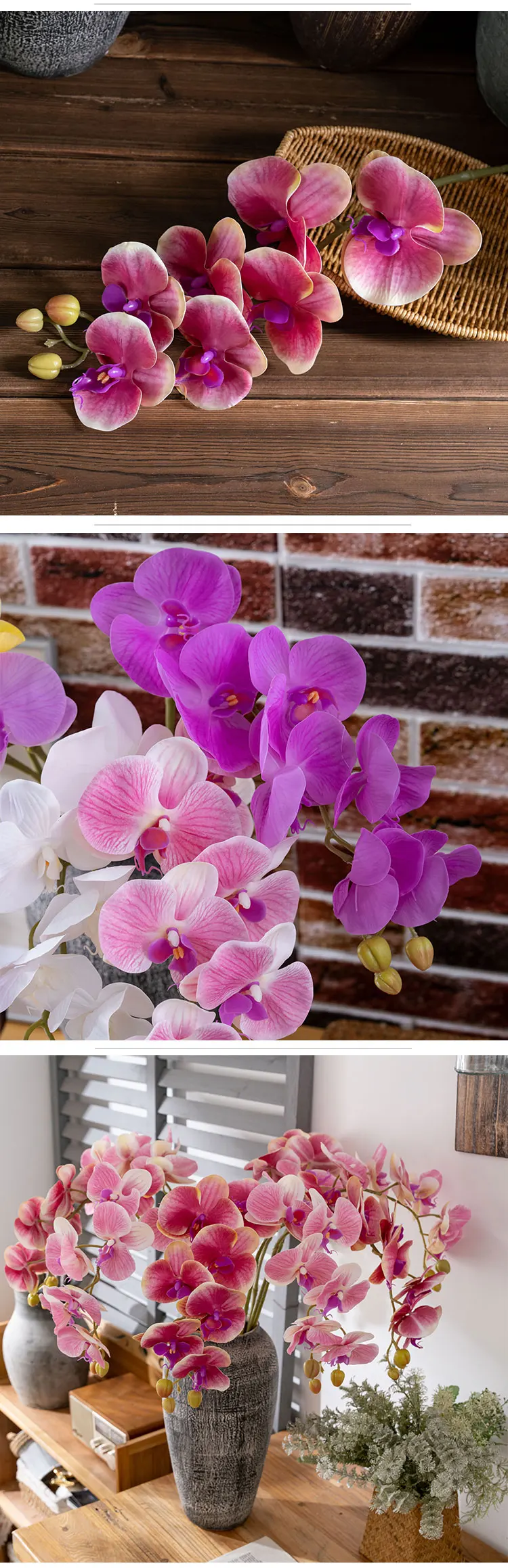 11 Peony MW18904.jpg