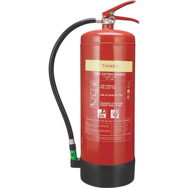 Factory direct sales Competitive price customized size 2-6kg dry powder fire extinguisher/CO2 and foam fire extinguisher
