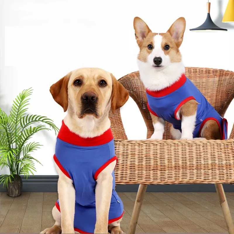Pet Recovery Suit Dog Surgery Sterilization Service Cotton Recovery Clothes For Cats Dogs Pets With Zipper