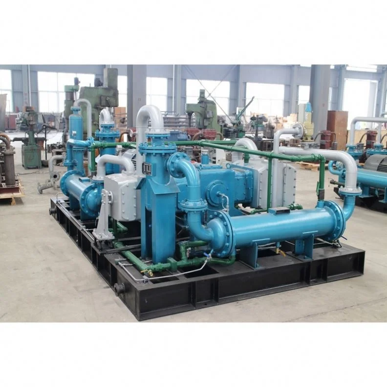 Advanced Technology Good Price Biogas Refrigerator Compressor