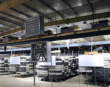 Cheap Soybean/soy Bean/soya Mealworm (bsf) Meal With High Protein