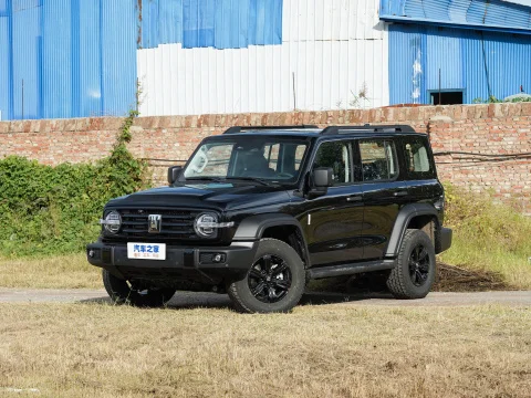 2023 в наличии Большой Настенный компактный внедорожник 300 Jeep Suv Китай роскошный автоматический 2 0 t 4wd 5 мест