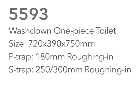 Water Saving Siphon Flushing Water Closet Ceramic Sanitary Ware One Piece Toilet (HZ5593)