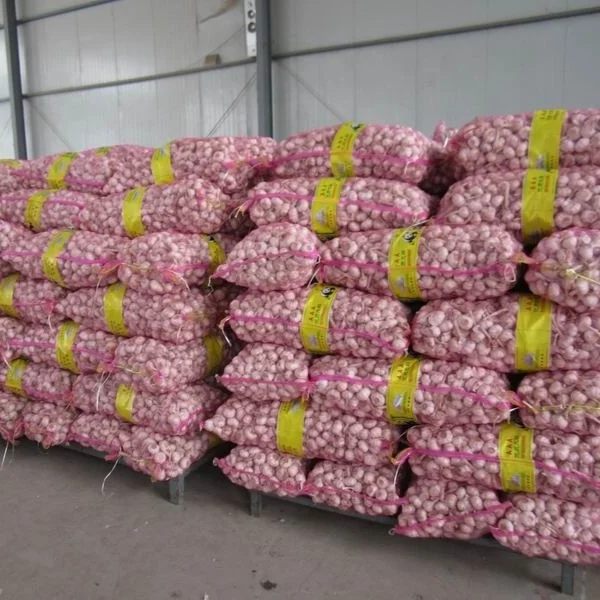 Fresh garlic new crop bawang putih segar 2024 export to indonesia normal white wholesale Honan garlic for indonesia