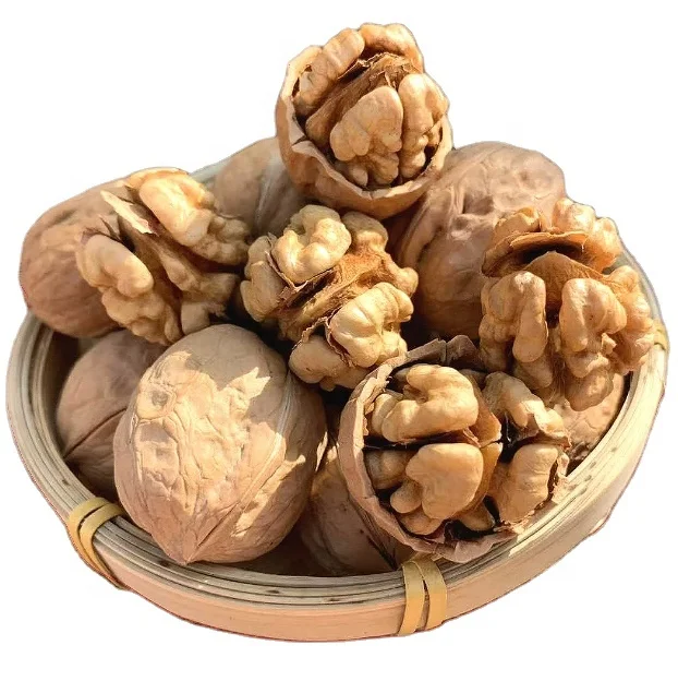 Wholesale Rich in Nutrition Walnut and Large Paper Shell Walnut from Xinjiang