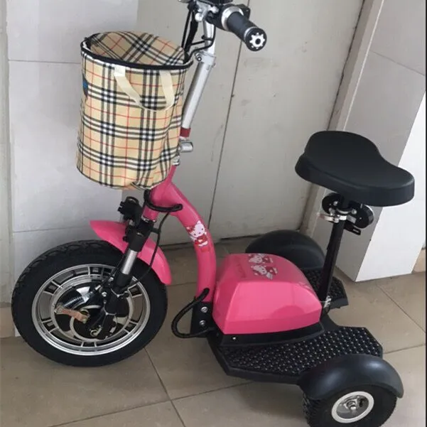 zappy tricycle_3.jpg