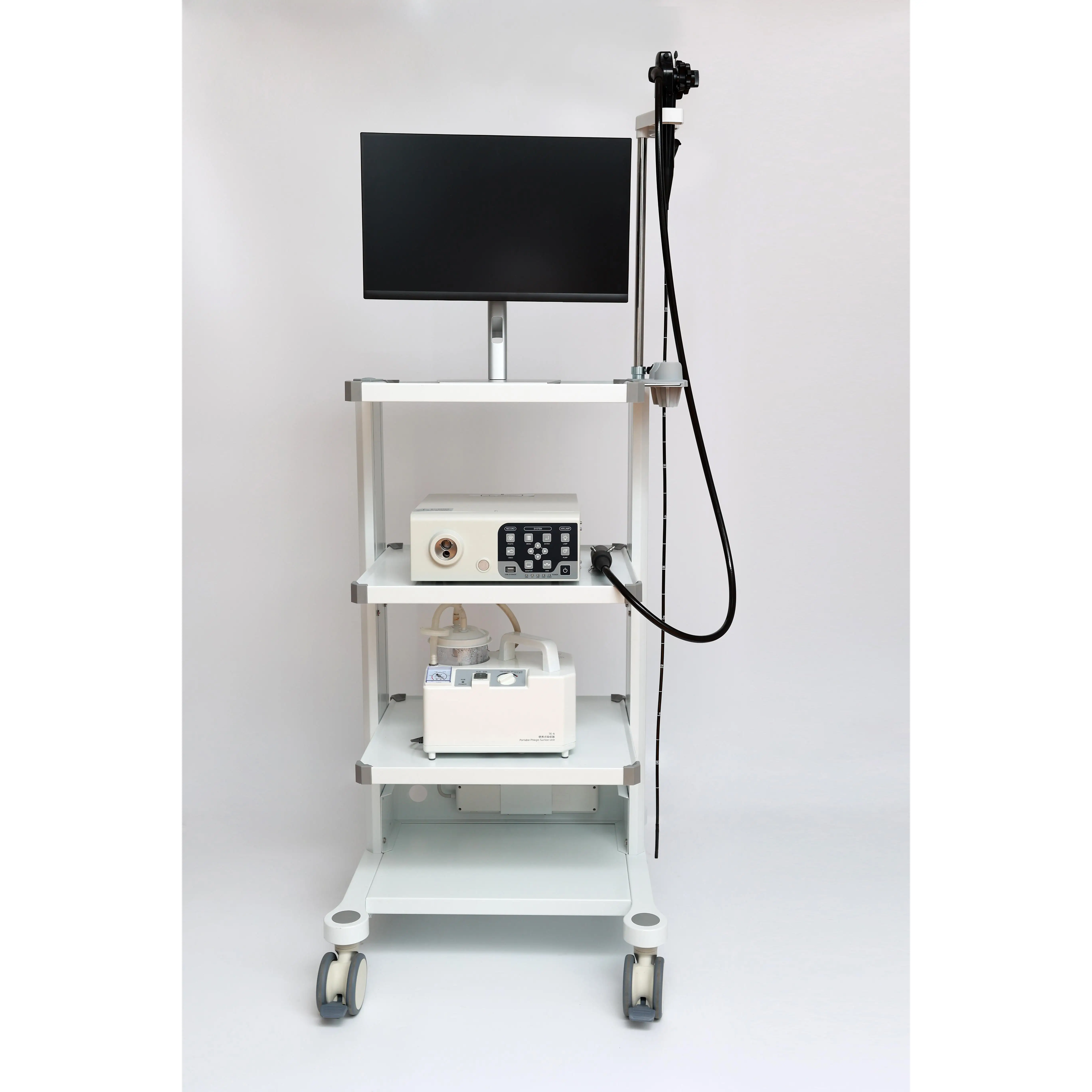 All Weather Flexible Ent Endoscope For Veterinary Endoscopy Equipment